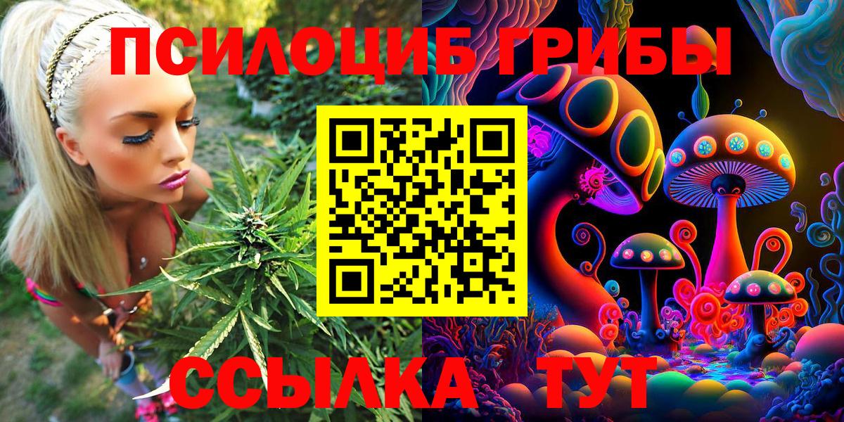 Псилоцибиновые грибы GOLDEN TEACHER Апшеронск